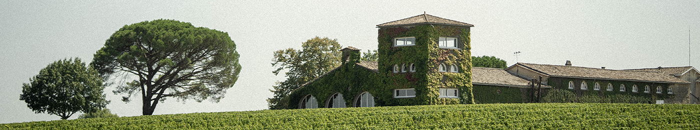 All our wines